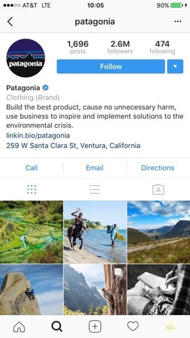 Business-Profil-Beispiel: Patagonia
