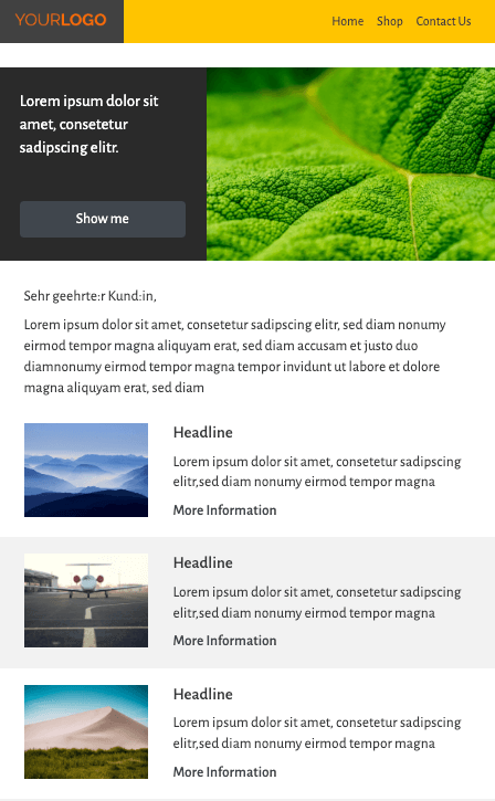 Newsletter_Blog_Template_Brevo