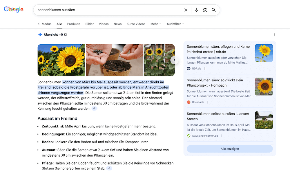 Screenshot von AI Overviews, um AEO zu demonstrieren