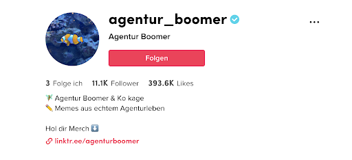 Blauer Haken der agentur boomer auf tiktok screenshot