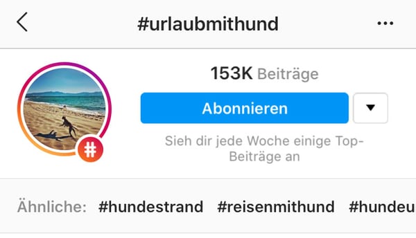 Diese-Instagram-Hashtags-bringen-die-meisten-Likes-3