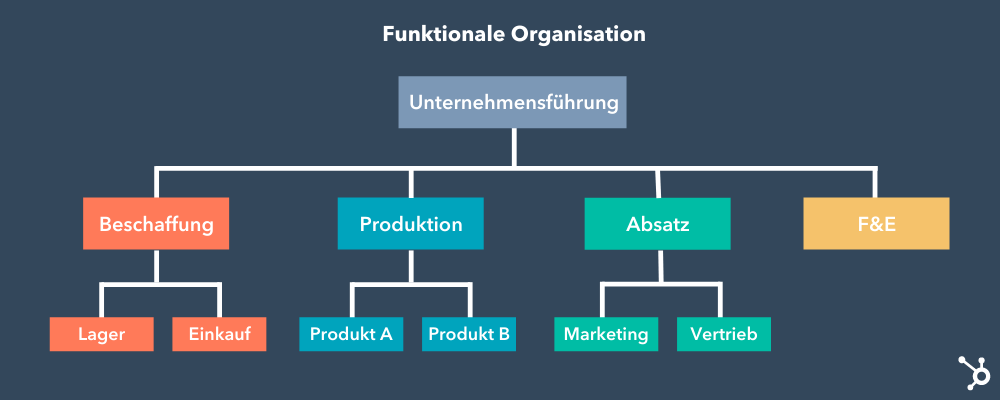 Funktionale Organisation Organigramm