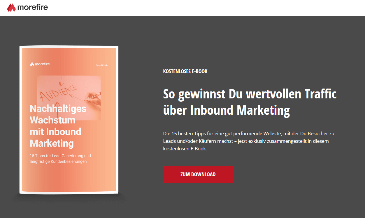 Landing-Page erstellen Beispiel morefire