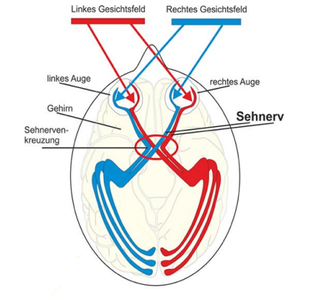 Neuromarketing