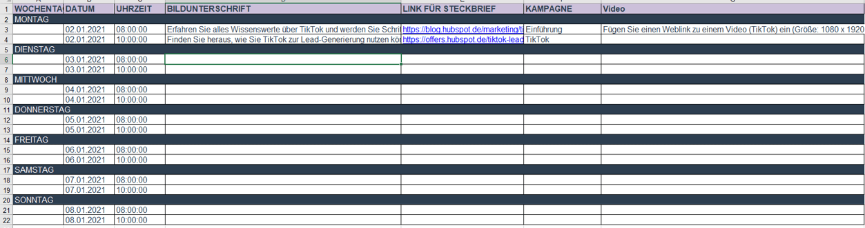 Screenshot aus dem HubSpot Social Media Redaktionsplan in Excel fuer TikTok