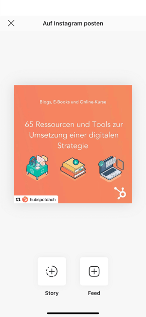 Auswählen, wo Sie den Beitrag reposten möchten: Im Feed oder in Ihrer Story.