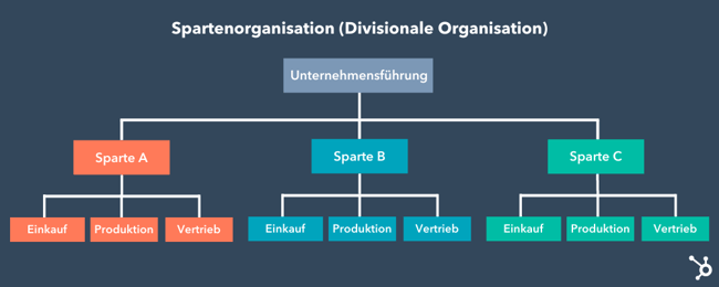 Aufteilung einer Spartenorganisation in einer Grafik