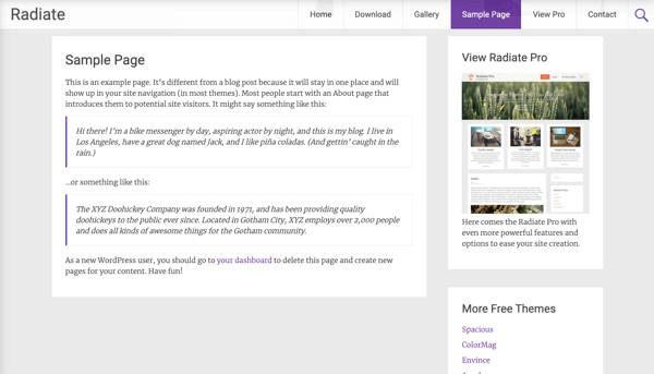 WordPress-Template Radiate