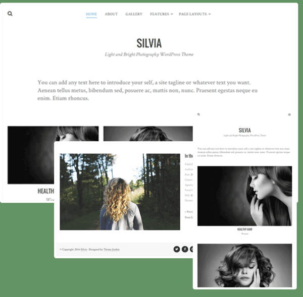 WordPress-Template Silvia