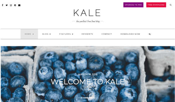WordPress-Template Albar