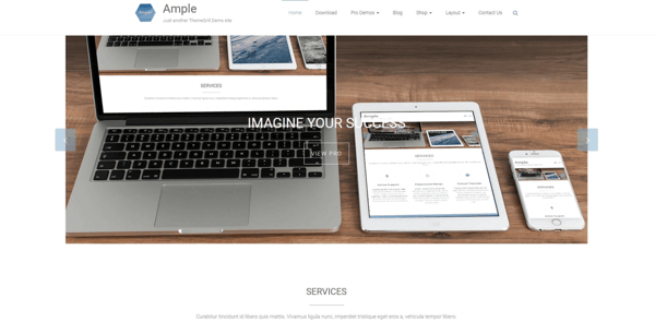 WordPress-Template Ample