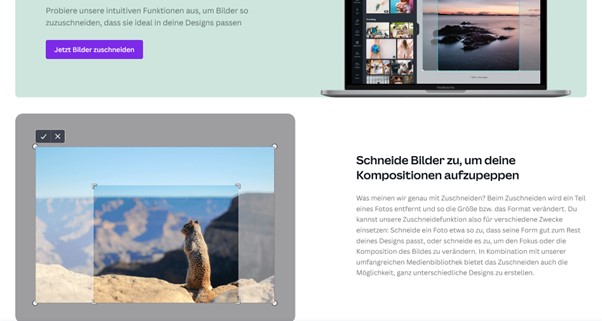 Screenshot Canva Bildbearbeitung Bilder zuschneiden