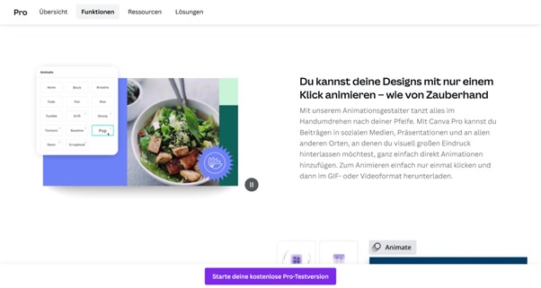 Screenshot Canva Bildbearbeitung Animation