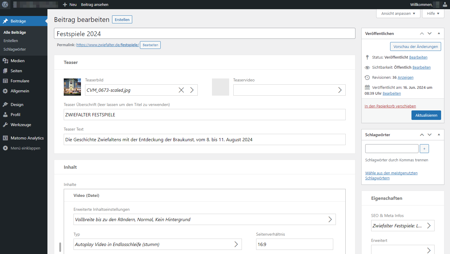 Screenshot CMS-System WordPress