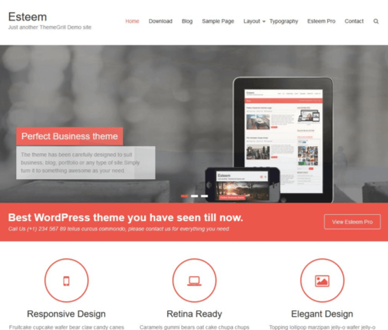 WordPress-Template Esteem