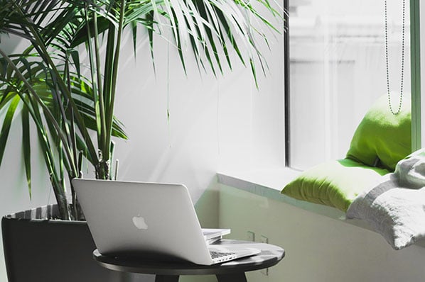 Laptop neben Pflanze und grünen Kissen symbolisieren Evergreen Content
