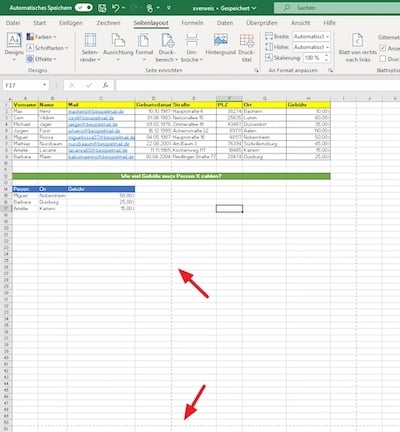 Screenshot Standard für Excel-Druckbereich