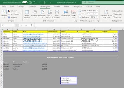 Screenshot Excel-Druckbereich anzeigen lassen