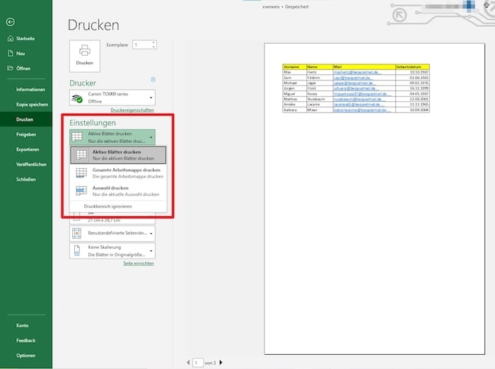 Screenshot Excel-Druckbereich drucken