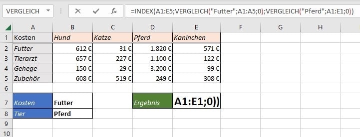 Screenshot Excel-Index-Funktion für Begriffe