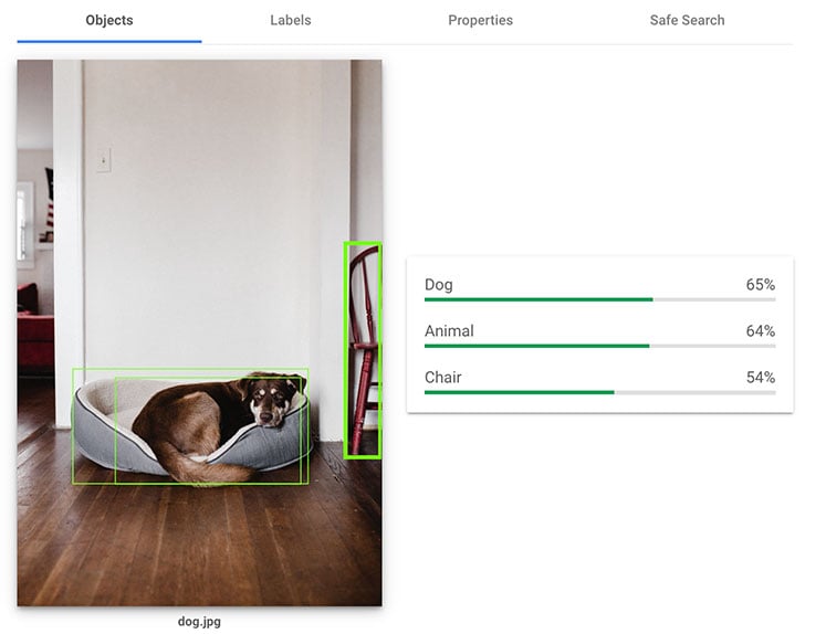 Google-Algorithmus-Bilderkennung Hund