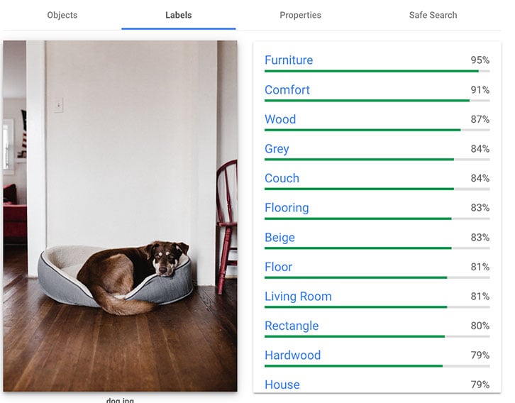 Google-Algorithmus-Bilderkennung Hund und Umfeld
