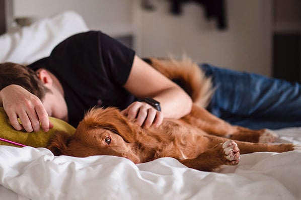 Person liegt bekleidet im Bett mit braunem Hund wegen Erschöpfung durch Leistungsdruck