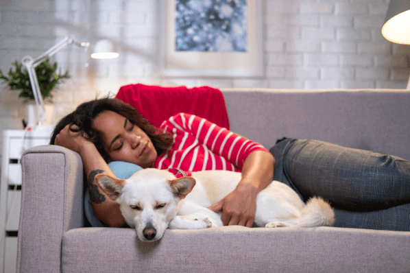 Person und Hund auf Sofa überwinden Mittagstief mit einem Nickerchen 