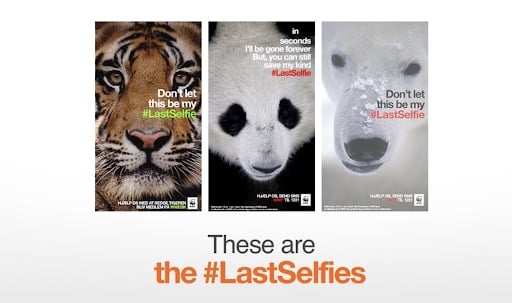 Non-Profit-Marketing WWF Kampagne