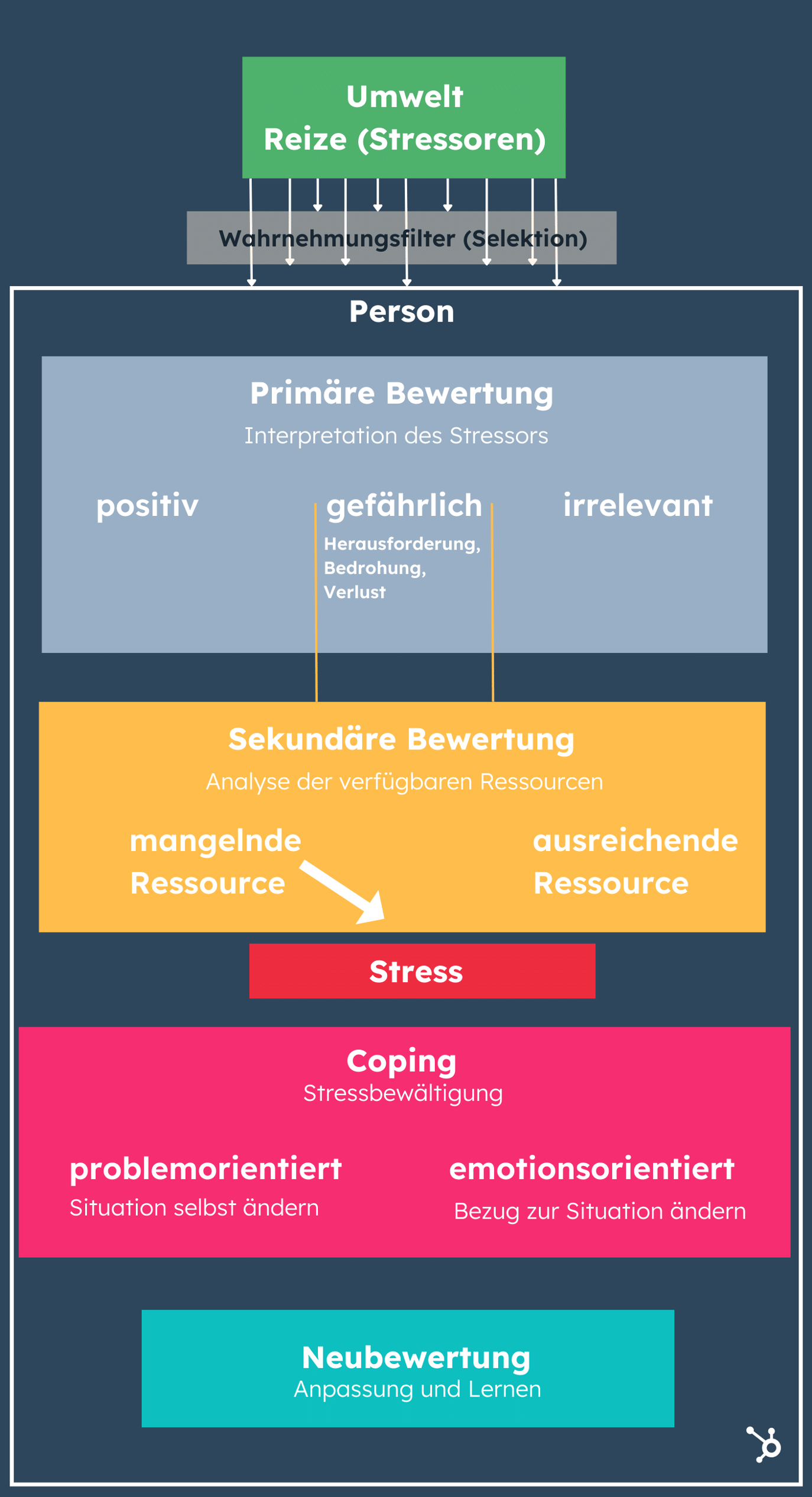 Das Stressmodell nach Lazarus erklärt So entsteht Stress