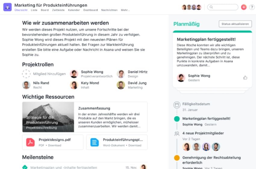 Screenshot Task-Management-Tool Asana