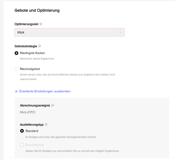 TikTok-Werbung: Gebote und Optimierung Ansicht