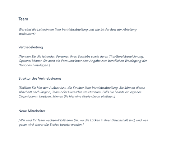 Screenshot aus der HubSpot-Vorlage Abschnitt Team