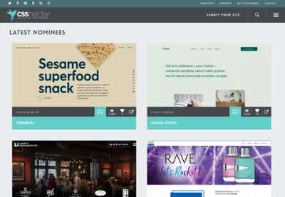 cssnectar%20design%20inspiration