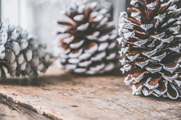 Beispiel Weihnachtsdeko im Buero Kunstschnee auf Tannenzapfen