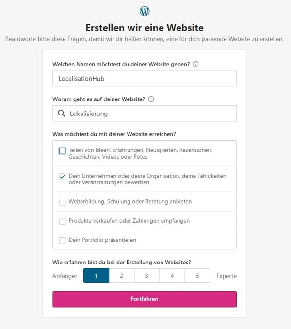 HubSpot Wordpress Website Fragebogen