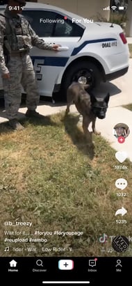 So nutzen Sie TikTok - Video-Feed