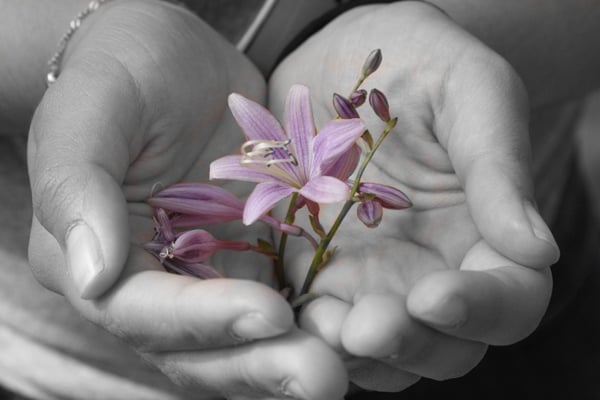 img_3845-copy.jpg HubSpot-Mit Schwarzweiß-Effekt teilkoloriertes Handyfoto einer violetten Blüte in den Händen einer Frau