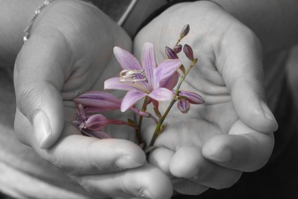 HubSpot-Mit Schwarzweiß-Effekt teilkoloriertes Handyfoto einer violetten Blüte in den Händen einer Frau