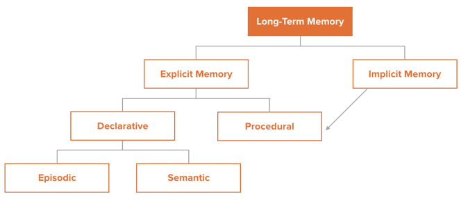 long-term-memory-1-1.png