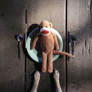 Hund-vor-Teller-mit-Hundespielzeug.png HubSpot-Hund-vor-Teller-mit-Hundespielzeug