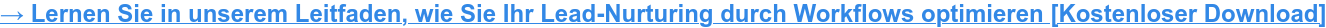 Lernen Sie in unserem Leitfaden, wie Sie Ihr Lead-Nurturing durch Workflows optimieren.