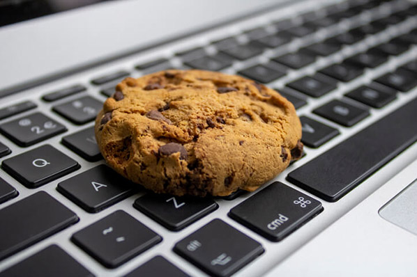 Die 8 besten WordPress-Cookie-Plugins