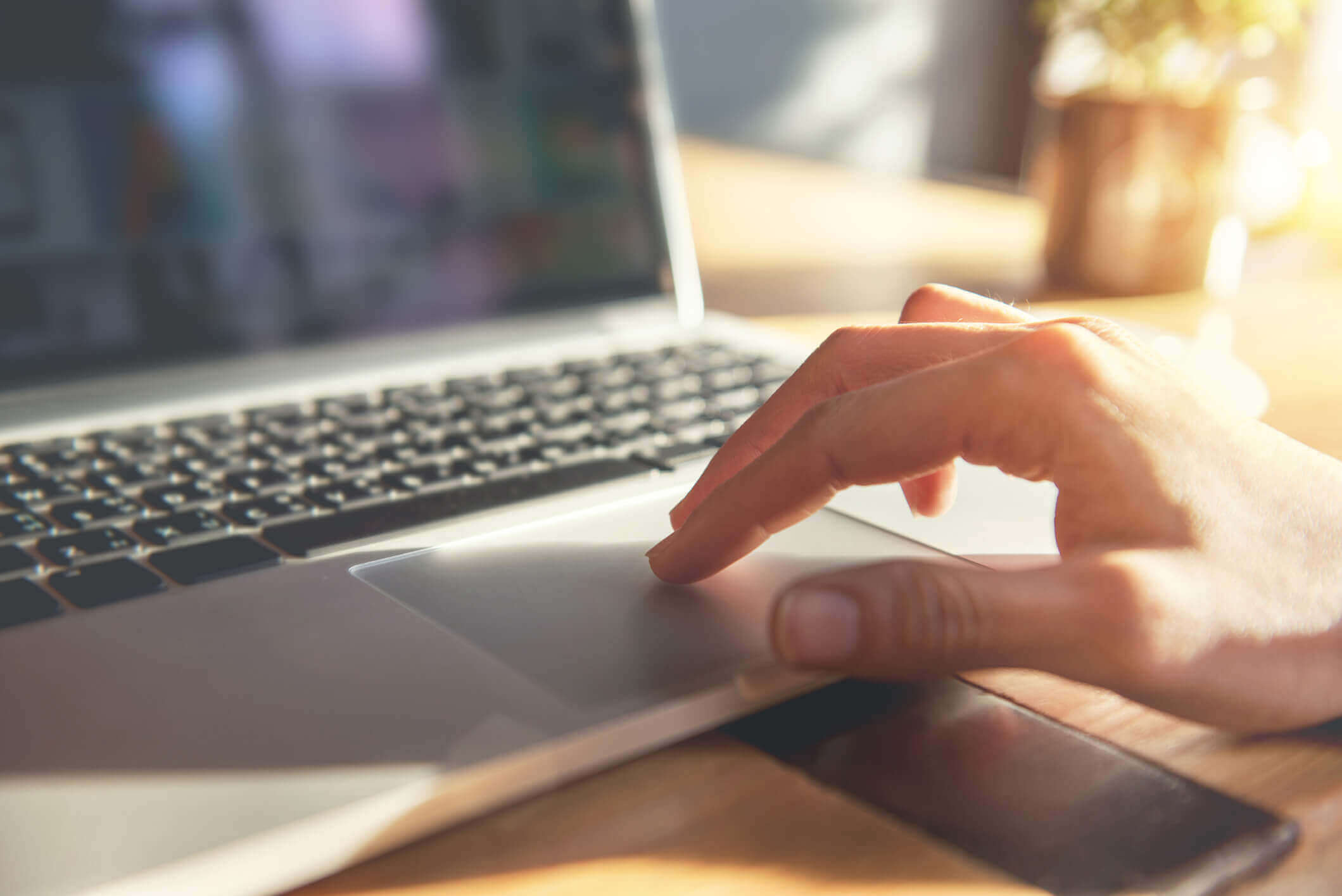 So richten Sie WordPress Multisite ein