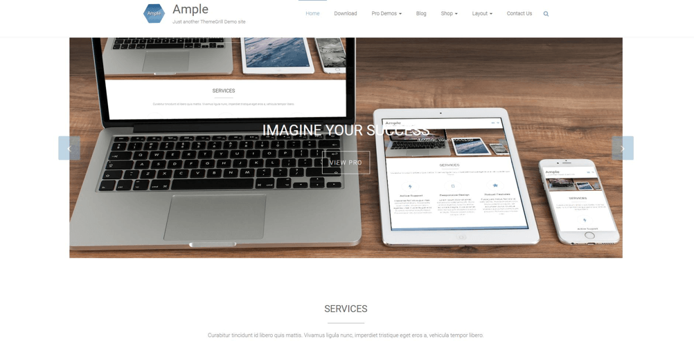 HubSpot-wordpress-template-ample