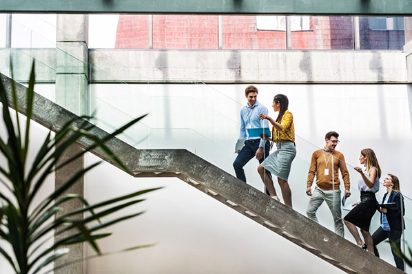 Mitarbeitende gehen Treppe hoch symbolisierend Aufbau von Corporate Identity