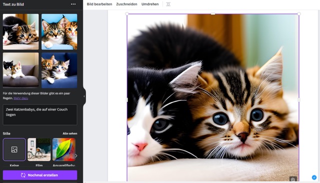 KI-Bilder: Ein von Canva generiertes Bild von Katzenbabys.